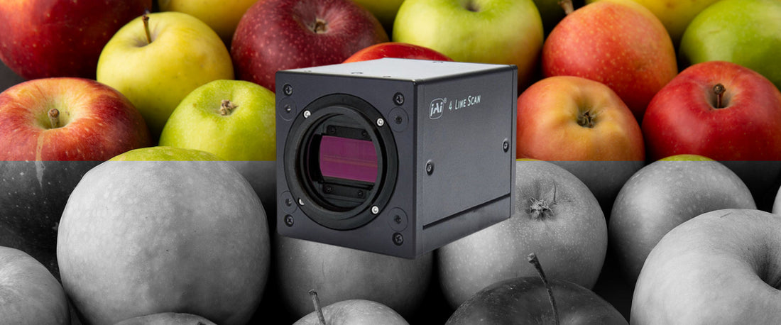 Line Scan Cameras for Machine Vision