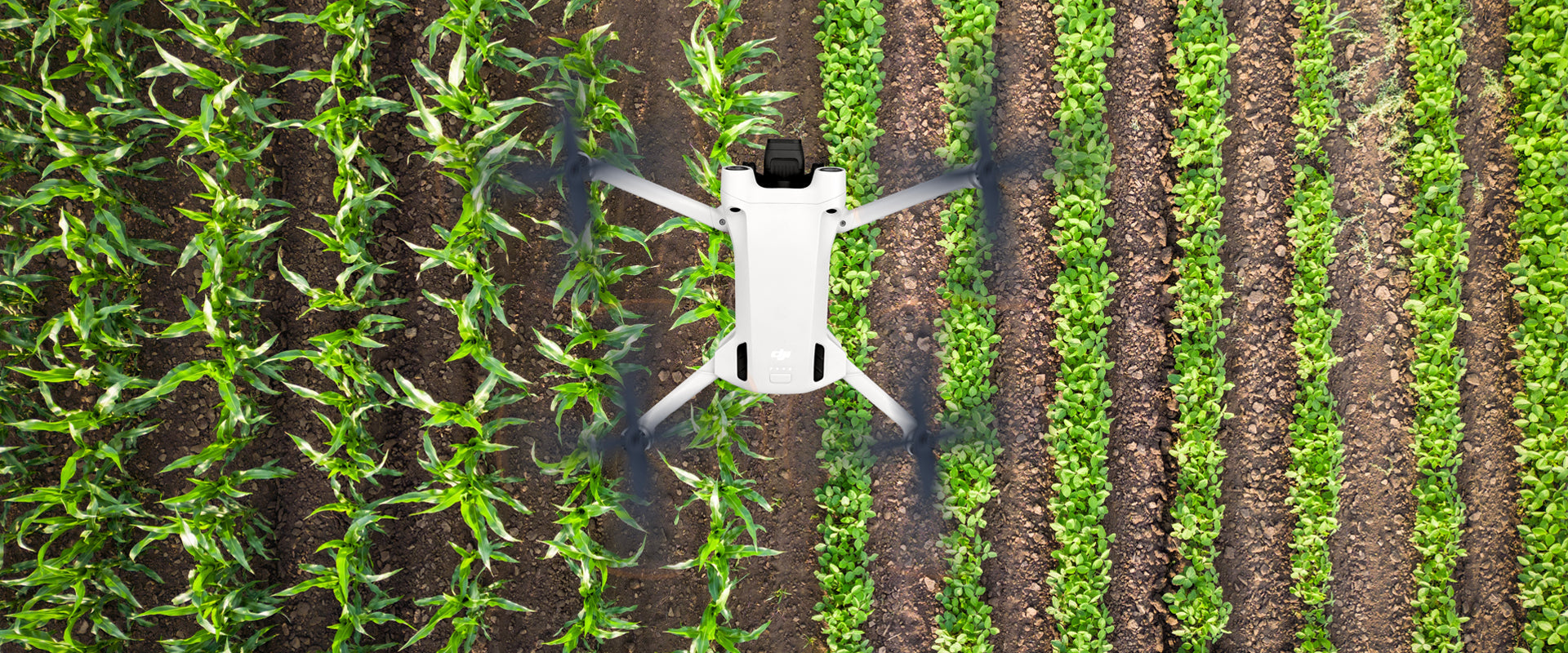 Machine Vision Bandpass Filters for High-Precision Inspection Systems