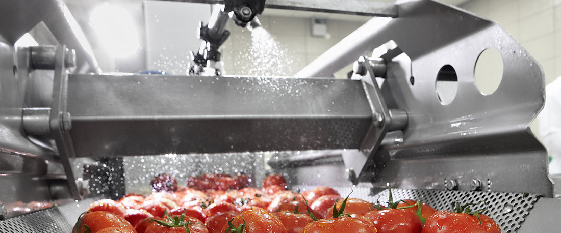 Machine Vision Food Inspection