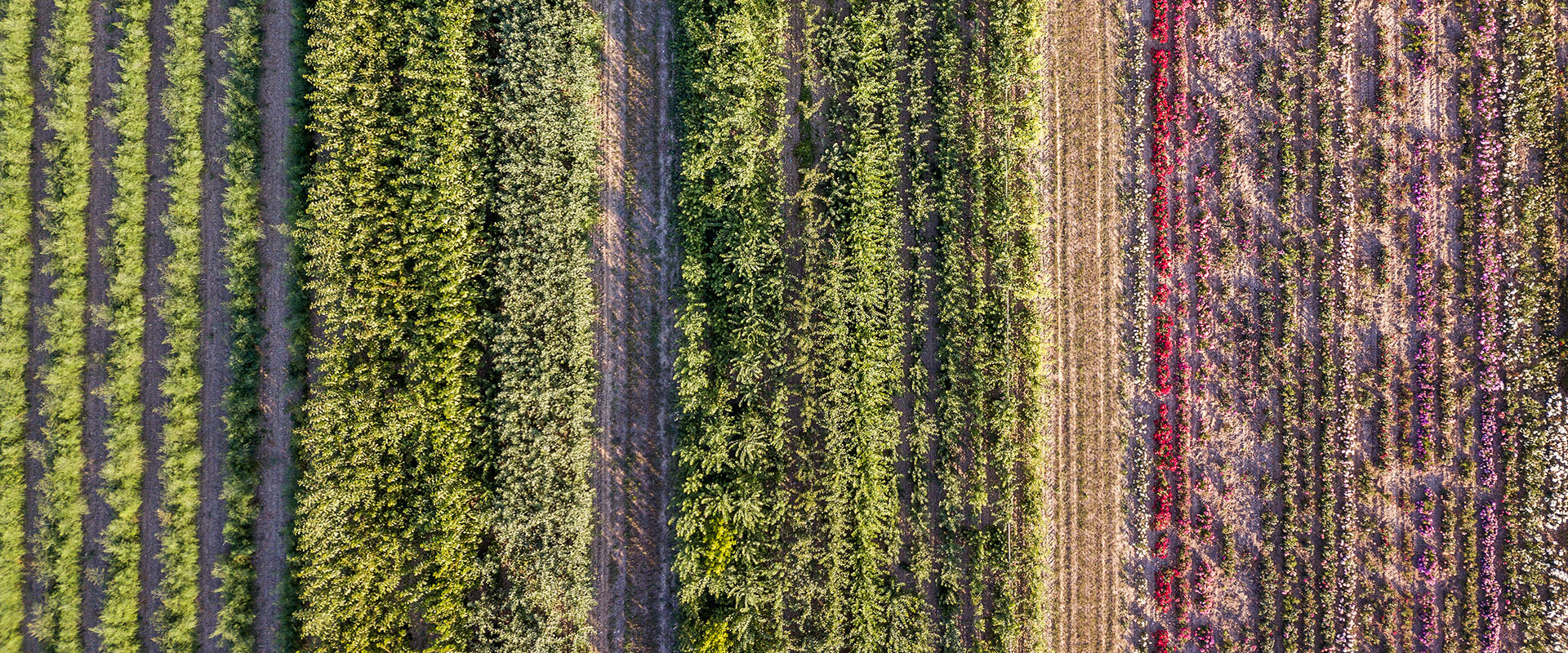 Monitoring Crops with Multispectral Imaging