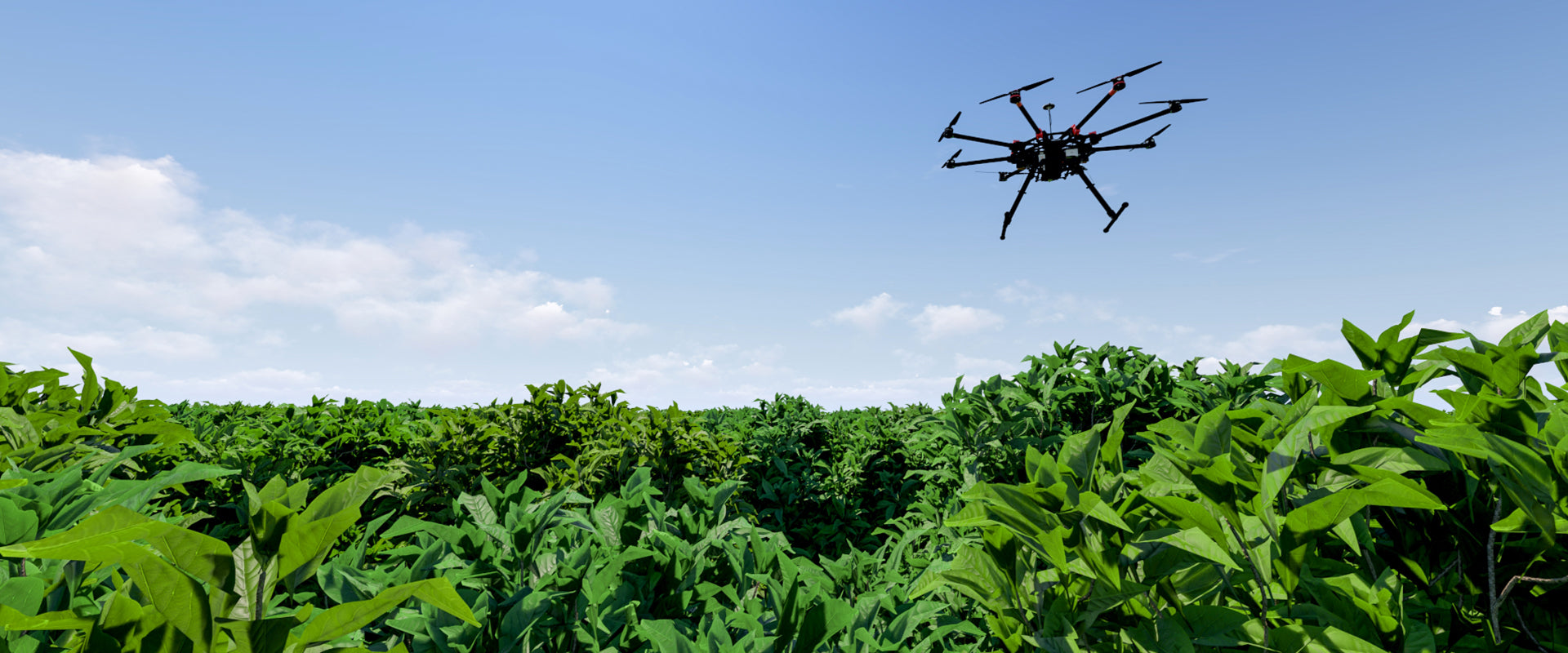 What Is NDVI Imaging? How It Works and When to Use It