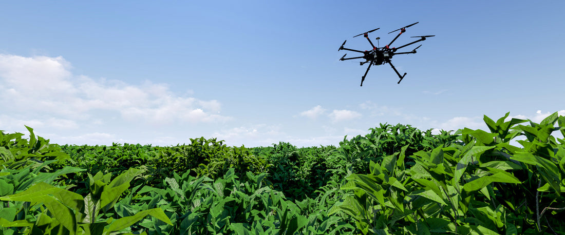 What Is NDVI Imaging? How It Works and When to Use It