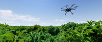 What Is NDVI Imaging? How It Works and When to Use It